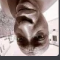 :Screenshot20260128162909:
