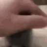 Cute_Cat