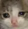 cry