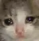 <:cry:1497757597766258809>