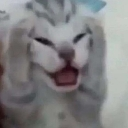 emoji_55 custom emote from ESTRELLAS 💫