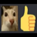 Cat_thumbs_up Cat_thumbs_up