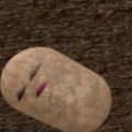 khoaingungon Discord emoji