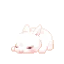 2_