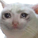 emoji_10 Discord Emoji | SheepClub