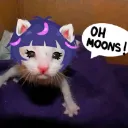 JunoCat