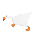 Goose