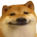 doggysmurk