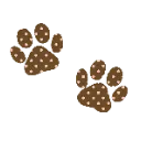 brown_paws