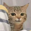 __