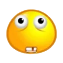 wtf