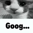 goog