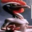 :AOHMMMMMMM: