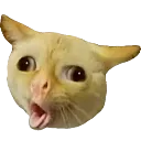 ew_or_cough