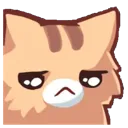 cat_upset