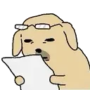 :dogwhat: