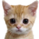 quedor custom emote | ⚡ Universo Gamer | conversas & jogos #200