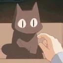 meow