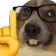 nerd