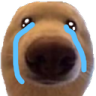dawg_cry custom emote - Why_soi