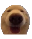 dawg Discord sticker | Why_soi
