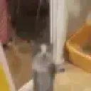 catjump