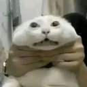 AUGGGGHHHH