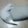 rotated