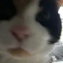 HH_Wat