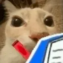catnote