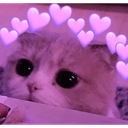 cat_cute custom emote - ♡ Dhadkan || Chill・Social・Dating・Hindi・Fun・Active・VC