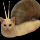 snailcat