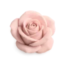 994544softblushrose