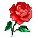 351759rose