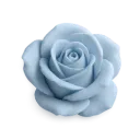 472487dustybluerose