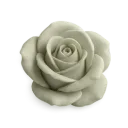 789706sagegreenrose