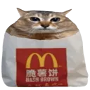 cathash