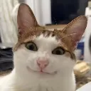 BaoSmile2