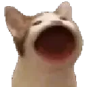 Emoji catlaugh