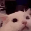 Emoji catrage