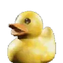 Emoji duck