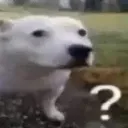 __