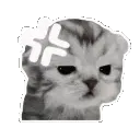 dcat