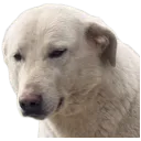 emoji_214