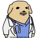 dogtor