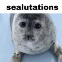 sealutations sealutations
