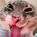 emoji_30 Discord Emoji - 𝐌𝐨𝐧𝐧𝐢𝐞 𝐇𝐨𝐮𝐬𝐞🍓🌷