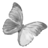 flaw Discord sticker - FLASHA