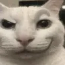 cat_smirk