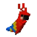 parrot